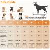 imageFDW Dog Crate Dog Kennel Cage with Double Door36 inch Folding Metal Wire Dog Cage with Removable TrayampampDivider PanelPet Crate for Medium DogsBlackBlack