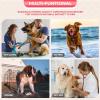 imageFDW Dog Crate Dog Kennel Cage with Double Door36 inch Folding Metal Wire Dog Cage with Removable TrayampampDivider PanelPet Crate for Medium DogsBlackPink
