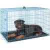 imageFDW Dog Crate Dog Kennel Cage with Double Door36 inch Folding Metal Wire Dog Cage with Removable TrayampampDivider PanelPet Crate for Medium DogsBlackBlue