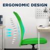 imageFDW Home Office Chair Mid Back Mesh Desk Chair Armless Computer Ergonomic Task Rolling Swivel Chair Back Support Adjustable Modern with Lumbar SupportBlueGreen