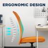imageFDW Home Office Chair Mid Back Mesh Desk Chair Armless Computer Ergonomic Task Rolling Swivel Chair Back Support Adjustable Modern with Lumbar SupportBlueOrange