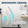 imageFDW Home Office Chair Mid Back Mesh Desk Chair Armless Computer Ergonomic Task Rolling Swivel Chair Back Support Adjustable Modern with Lumbar SupportBlueWhite