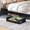 imageFDW Under Bed Storage Containers 2Pack Closet Organizers Foldable Storage Bins with Clear Window Storage Containers for Shoes and Books BlackBlack