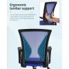 imageHome Office Chair Mid Back PC Swivel Lumbar Support Adjustable Desk Task Computer Ergonomic Comfortable Mesh Chair with Armrest BlackBlue