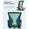 imageHome Office Chair Mid Back PC Swivel Lumbar Support Adjustable Desk Task Computer Ergonomic Comfortable Mesh Chair with Armrest BlackGreen