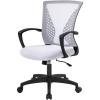 imageHome Office Chair Mid Back PC Swivel Lumbar Support Adjustable Desk Task Computer Ergonomic Comfortable Mesh Chair with Armrest BlackWhite