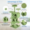 imageFDW Cat Tree 54in Cat Tower MultiLevel Durable Cat Scratching Post ampamp Cozy Fun Cat Jumping Platform Space Saving Cat Condo Pet Play House for Indoor CatsBeigeGreen
